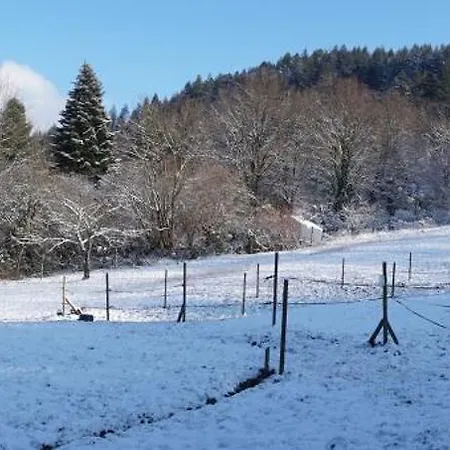 Holiday home Am Gunzenbach