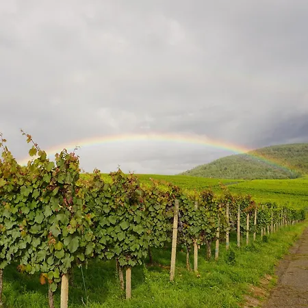 Nyaraló Am Gunzenbach Baden-Baden