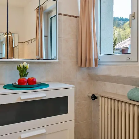 Am Gunzenbach Holiday home *